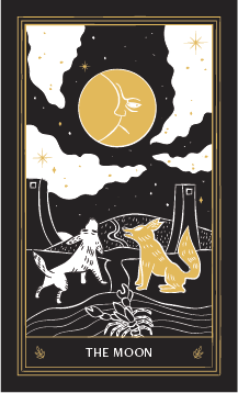 Tarot Card: The Moon